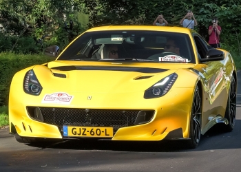 Exotic Beasts Unleashed: Speed Demons Roar to Life