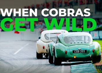 Venomous Serpents’ Leisurely Mail Ritual