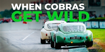 Venomous Serpents’ Leisurely Mail Ritual