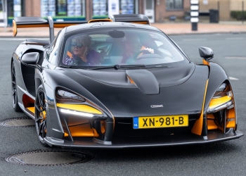 Epic Power Parade: Five Beasts Take Over