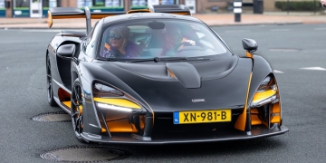 Epic Power Parade: Five Beasts Take Over